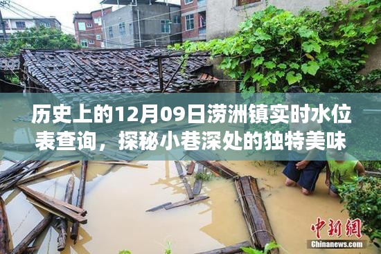 探秘澇洲鎮(zhèn)，歷史水位變遷中的小巷美食記憶——實時水位表查詢與獨特美味探秘