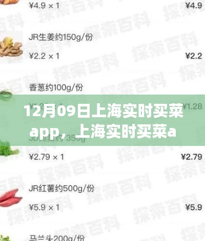 上海實(shí)時買菜app使用指南，從初學(xué)者到進(jìn)階用戶的全方位指南（12月09日版）