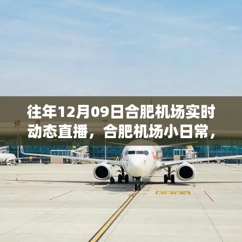 云端下的溫馨相遇，合肥機場12月9日實時動態(tài)直播小日常