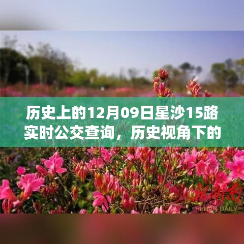 歷史視角下的星沙公交發(fā)展，星沙公交查詢系統(tǒng)深度探討與實時公交查詢服務解析（附，歷史上的星沙公交變遷）