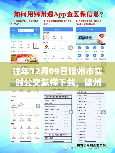 錦州市實(shí)時(shí)公交查詢APP下載指南，以往年12月09日為例的教程分享