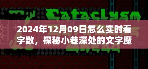 探秘小巷深處的文字魔法屋，如何在特定日期實時查看字數(shù)技巧揭秘（2024年12月09日）