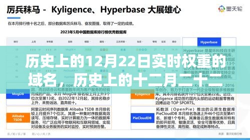 探尋實時權(quán)重域名，歷史上的十二月二十二日回顧與揭秘