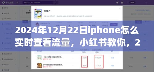 2024年12月22日iPhone實(shí)時(shí)查看流量教程，小紅書教你如何輕松監(jiān)控流量消耗