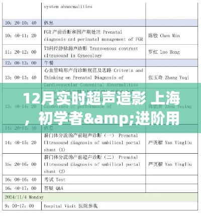 12月上海實時超聲造影操作全攻略，從初學(xué)者到進階用戶的必備指南