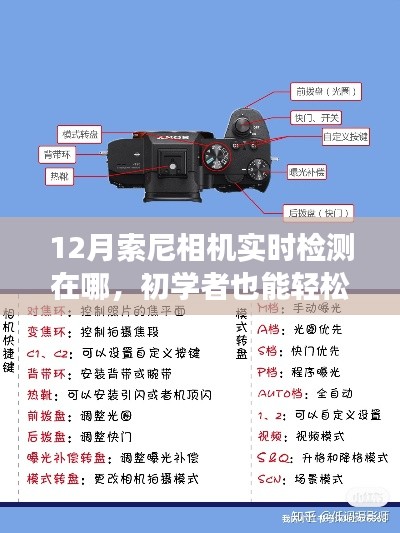 初學(xué)者也能輕松掌握！12月索尼相機(jī)實(shí)時(shí)檢測功能使用指南