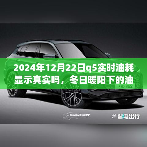 冬日暖陽下的真相探尋，2024年Q5實(shí)時(shí)油耗顯示的可信度與友情之旅