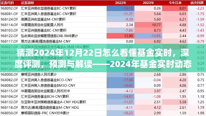 揭秘2024年基金實時動態(tài)洞察系統(tǒng)，深度評測、預(yù)測與解讀的未來趨勢