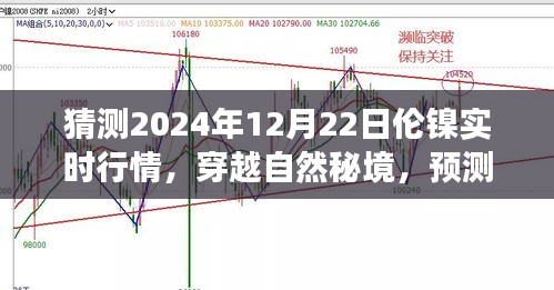 倫鎳行情預(yù)測與心靈之旅，穿越自然秘境，探索2024年倫鎳實時行情的奇妙交織