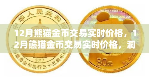 12月熊貓金幣實時交易價格，洞悉市場動態(tài)，把握投資機會