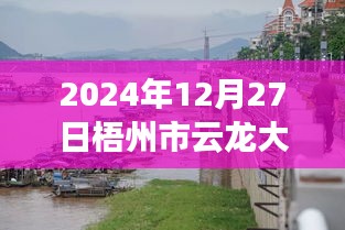 梧州市云龍大橋?qū)崟r水位監(jiān)測指南，以初學(xué)者和進(jìn)階用戶視角看水位監(jiān)測