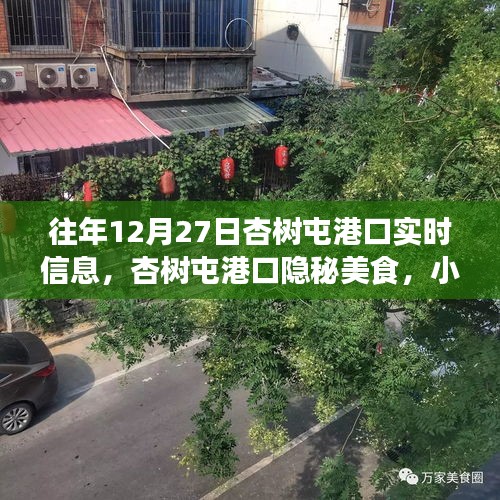 杏樹屯港口，美食秘境與實(shí)時(shí)信息的探索之旅