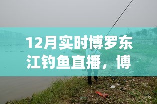 博羅東江畔的釣魚(yú)盛宴，12月實(shí)時(shí)釣魚(yú)直播開(kāi)啟！