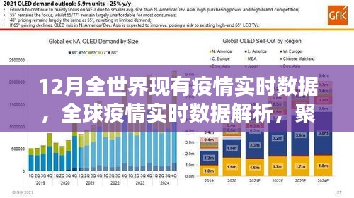 全球疫情實時數(shù)據(jù)解析，聚焦12月疫情動態(tài)與動態(tài)變化