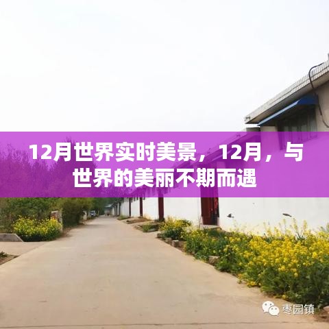 12月世界美景盡收眼底，與全球美麗的不期之約