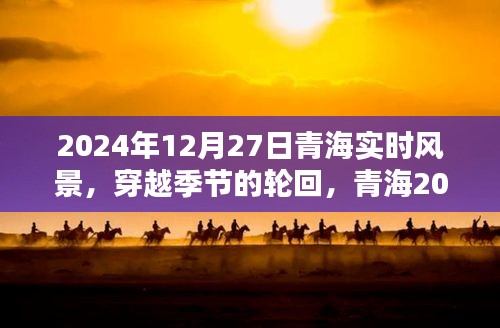 青海獨特風情，穿越季節(jié)輪回的2024年12月27日實時風景紀實