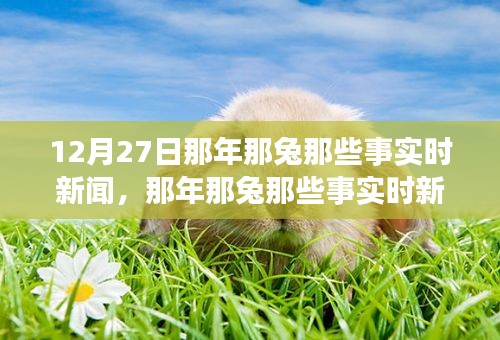 那年那兔時(shí)事新聞追蹤解讀指南，從初學(xué)者到進(jìn)階用戶的步驟指南