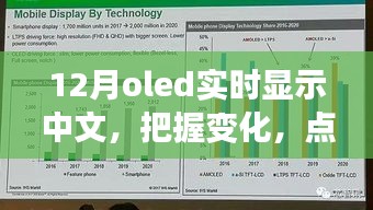 12月OLED中文實(shí)時(shí)顯示，把握變化，點(diǎn)亮未來——展現(xiàn)你的中文魅力