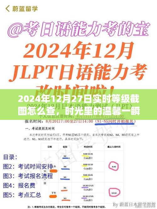 2024年12月27日等級(jí)截圖揭秘，時(shí)光溫馨一瞬，友誼見證時(shí)刻