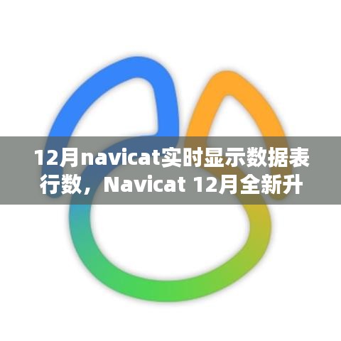 Navicat 12月升級亮點，實時數(shù)據(jù)表行數(shù)顯示，科技助力數(shù)據(jù)管理便捷性