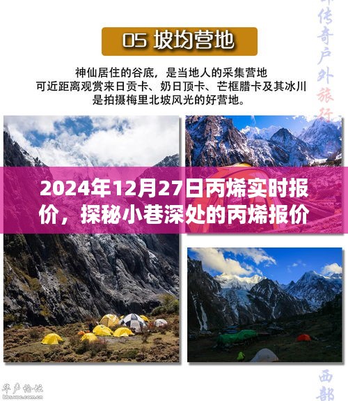 探秘丙烯報價秘境，揭秘2024年12月27日丙烯實時行情與報價深度解析