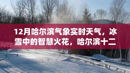 哈爾濱十二月冰雪智慧，氣象實(shí)時(shí)觀察與啟示錄