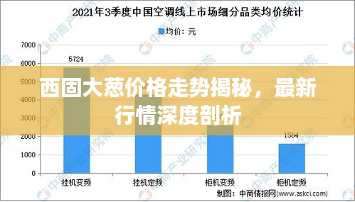 西固大蔥價(jià)格走勢揭秘，最新行情深度剖析