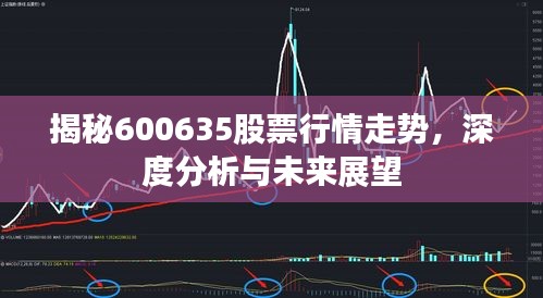 揭秘600635股票行情走勢，深度分析與未來展望