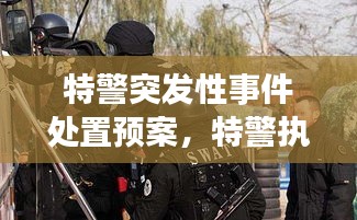 特警突發(fā)性事件處置預(yù)案，特警執(zhí)勤突發(fā)事件視頻 