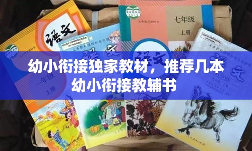 幼小銜接獨(dú)家教材，推薦幾本幼小銜接教輔書 