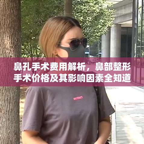 鼻孔手術費用解析，鼻部整形手術價格及其影響因素全知道