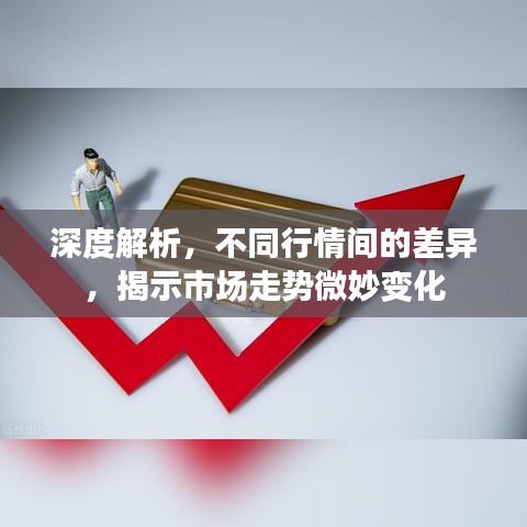 深度解析，不同行情間的差異，揭示市場走勢微妙變化