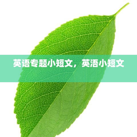 英語(yǔ)專題小短文，英浯小短文 