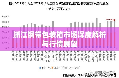 浙江鋼帶包裝箱市場(chǎng)深度解析與行情展望