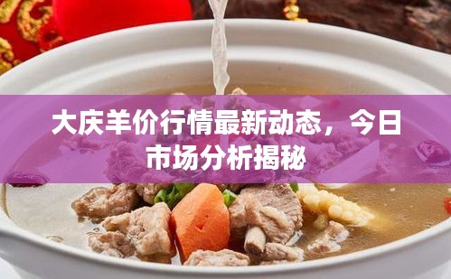 大慶羊價行情最新動態(tài)，今日市場分析揭秘