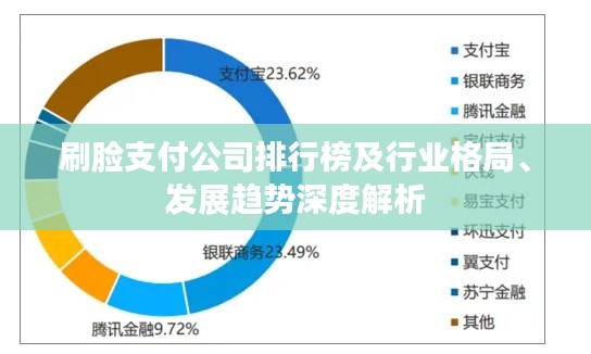 刷臉支付公司排行榜及行業(yè)格局、發(fā)展趨勢(shì)深度解析