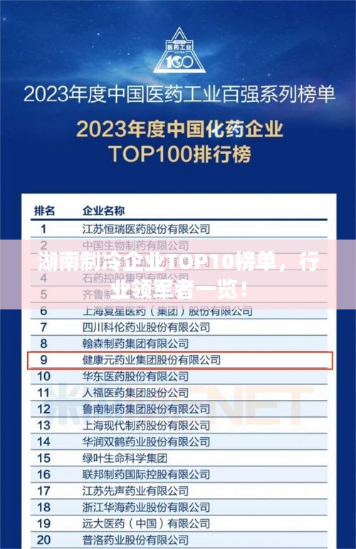 湖南制冷企業(yè)TOP10榜單，行業(yè)領軍者一覽！