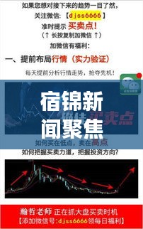 宿錦新聞聚焦時事熱點，解讀地方發(fā)展新動態(tài)