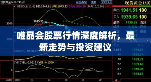 唯品會(huì)股票行情深度解析，最新走勢(shì)與投資建議