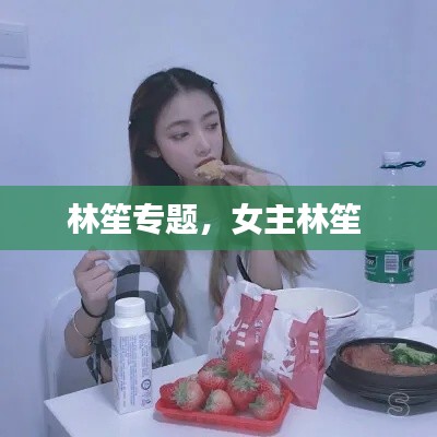 林笙專題，女主林笙 