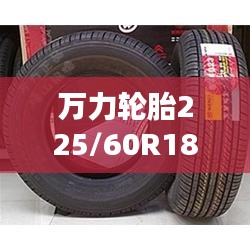 萬力輪胎225/60R18型號價(jià)格深度解析