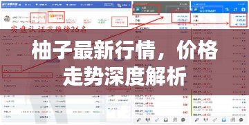 柚子最新行情，價格走勢深度解析