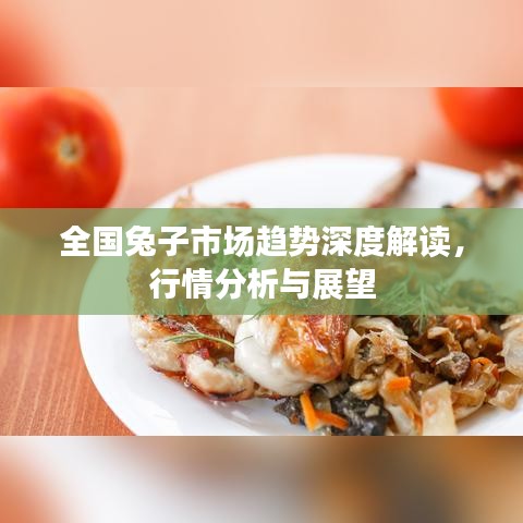 全國(guó)兔子市場(chǎng)趨勢(shì)深度解讀，行情分析與展望