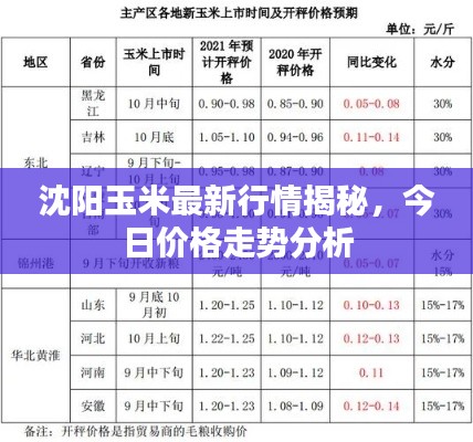 沈陽玉米最新行情揭秘，今日價格走勢分析