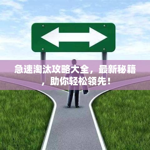 急速淘汰攻略大全，最新秘籍，助你輕松領(lǐng)先！