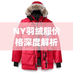 NY羽絨服價格深度解析，了解真實價格，選購更明智！