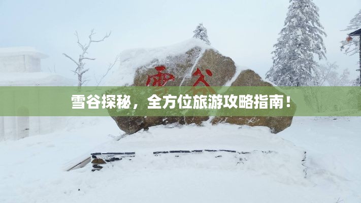 雪谷探秘，全方位旅游攻略指南！