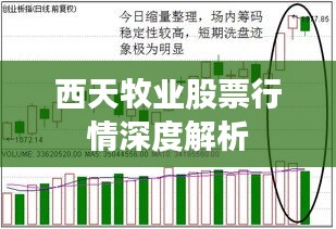 西天牧業(yè)股票行情深度解析