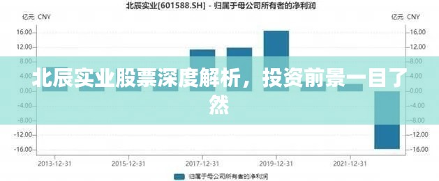 北辰實(shí)業(yè)股票深度解析，投資前景一目了然