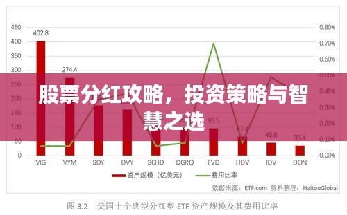 股票分紅攻略，投資策略與智慧之選